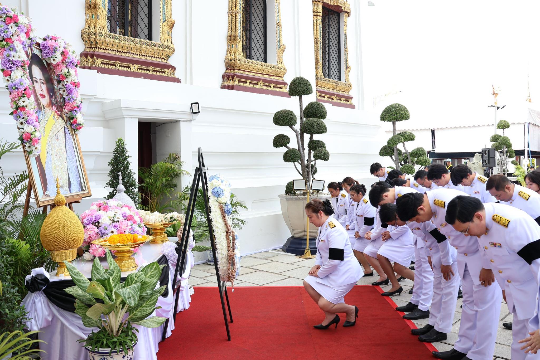 605300711 1237261045256921 7479058921103415422 n